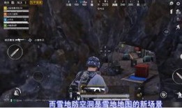 和平精英技能爆料大全最新,全新战术解析，助你战力飙升！