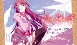 化物语高清在线观看,揭秘神秘校园的惊悚奇幻之旅