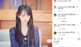 郑爽外网爆料事件视频,真相与争议交织